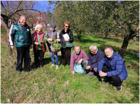 23-02-2020 Raccolta della cicoria a Pratella